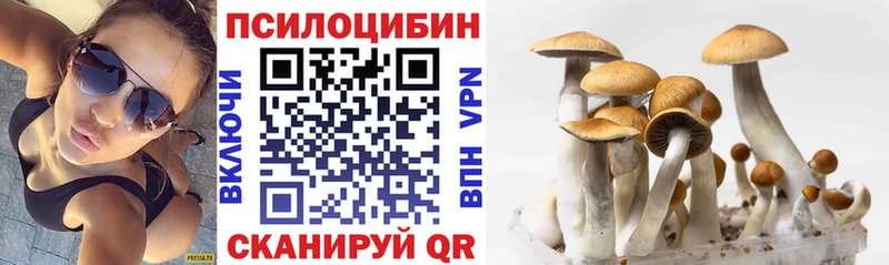 купить   Микунь  Галлюциногенные грибы Magic Shrooms 